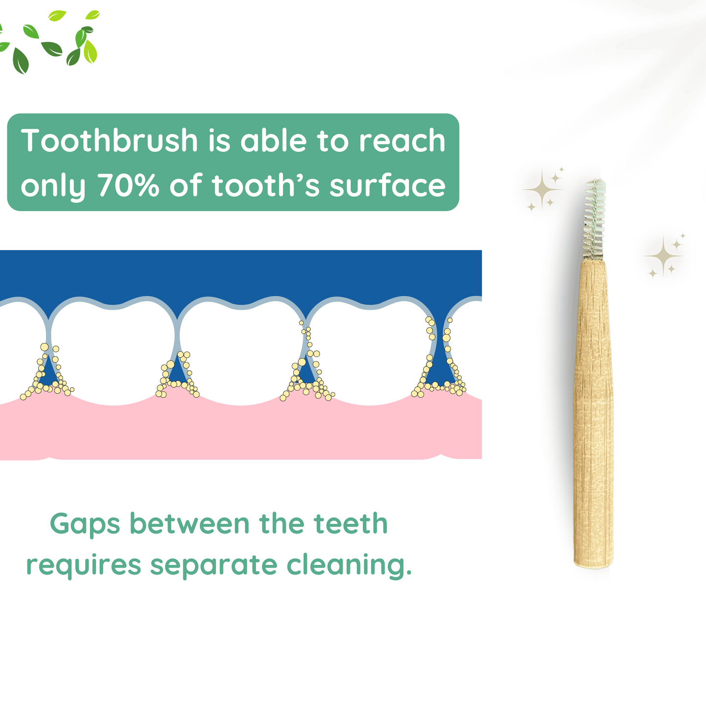 toothfully yours interdental brushes