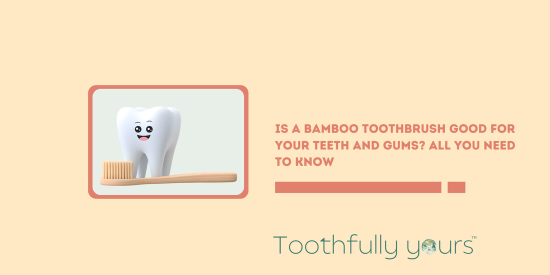 Is a Bamboo Toothbrush Good for Your Teeth and Gums? All You Need To Know