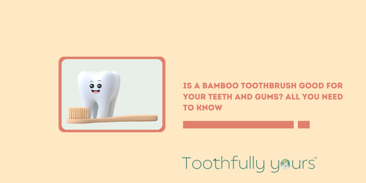 Is a Bamboo Toothbrush Good for Your Teeth and Gums? All You Need To Know