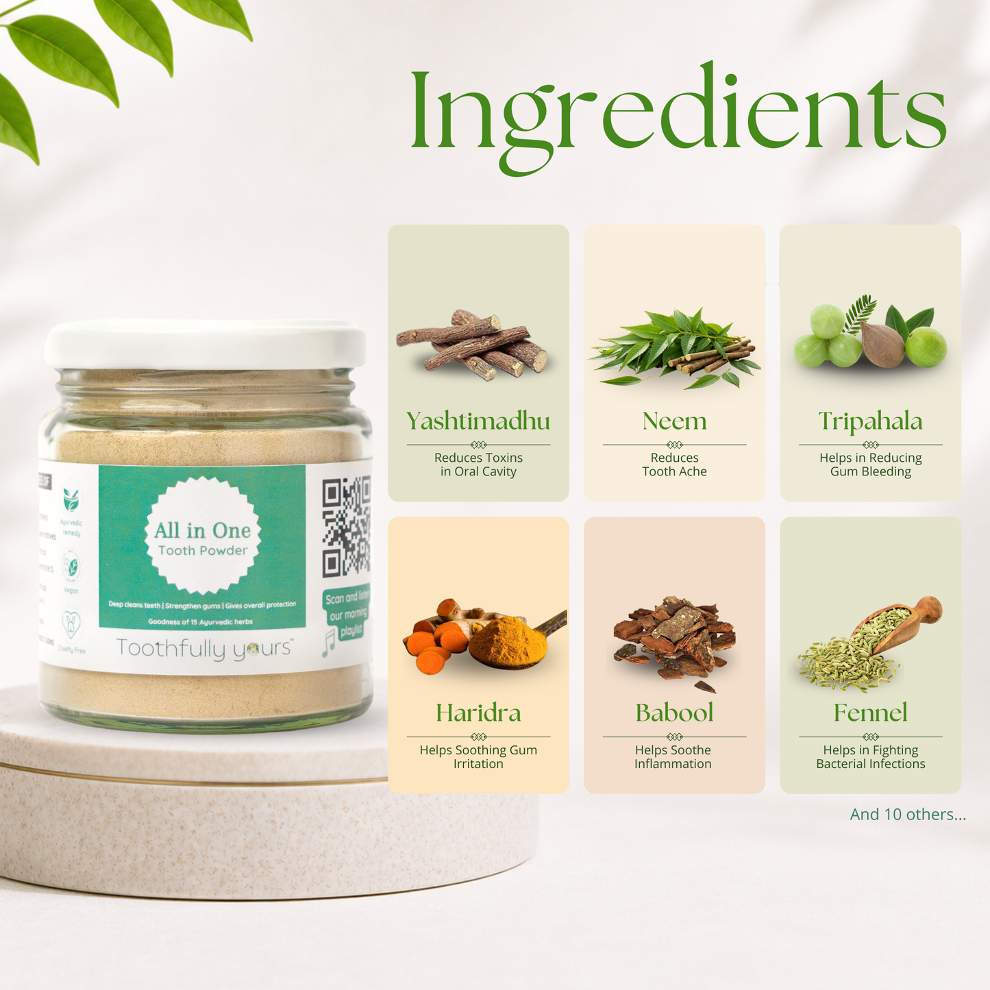 All in One Tooth Powder | Minty fresh | All natural | 125 gm