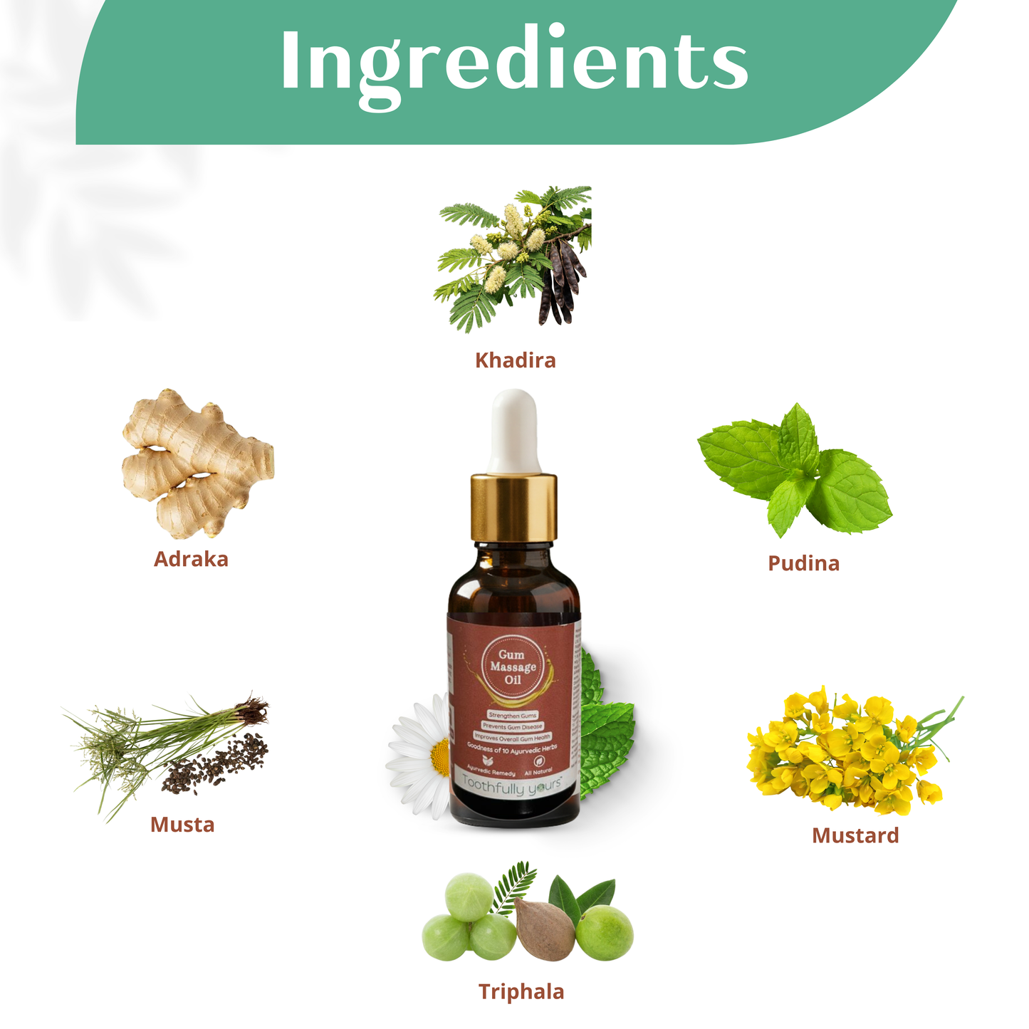 Gum Massage Oil | Best Remedy for Gum Bleeding and Gum Swelling | 10 Ayurvedic Herbs | 30ml + 2 Bamboo Toothbrush Free