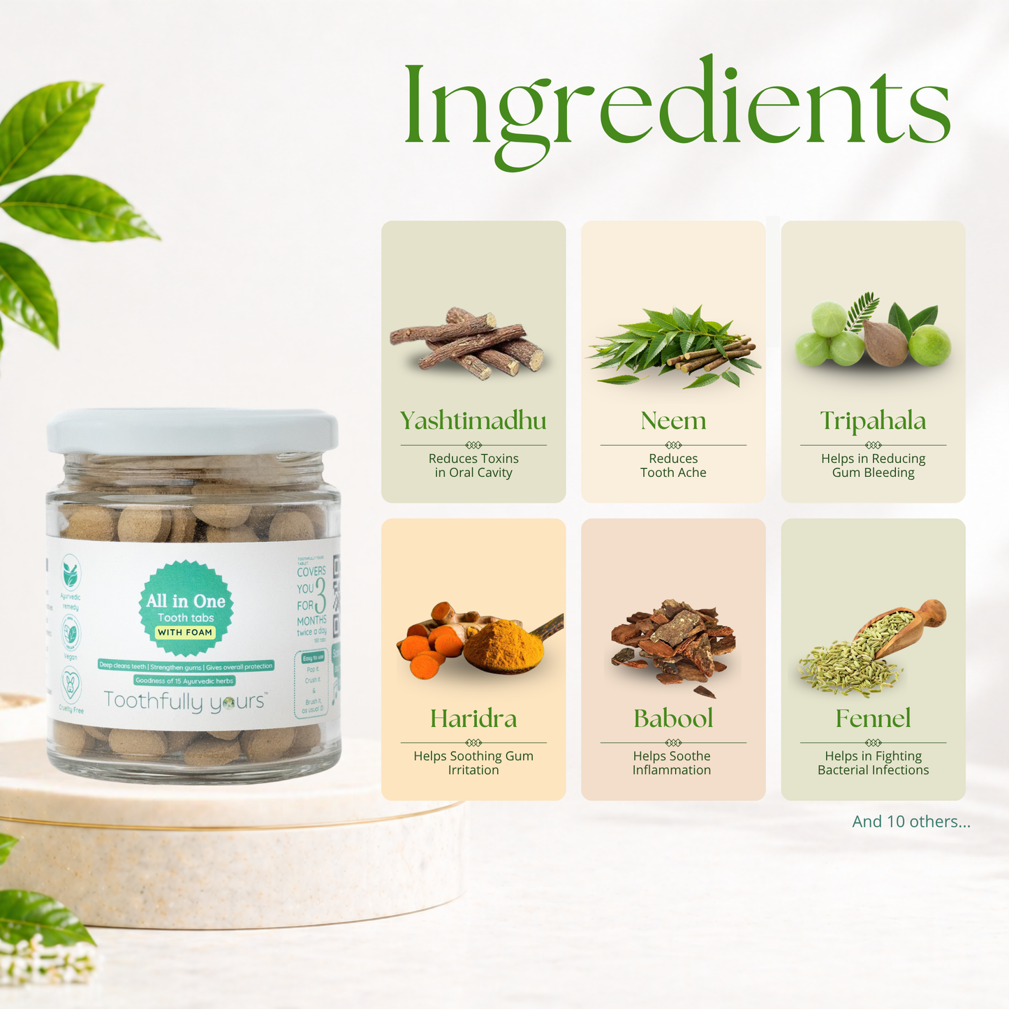 All in One Toothpaste Tabs | Minty fresh | All natural |180 tabs