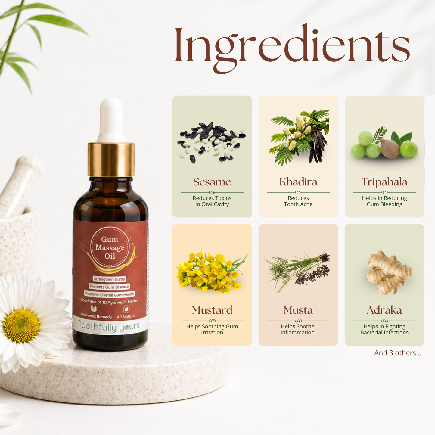 Gum Massage Oil | Best Remedy for Gum Bleeding and Gum Swelling | 10 Ayurvedic Herbs | 30ml + 2 Bamboo Toothbrush Free