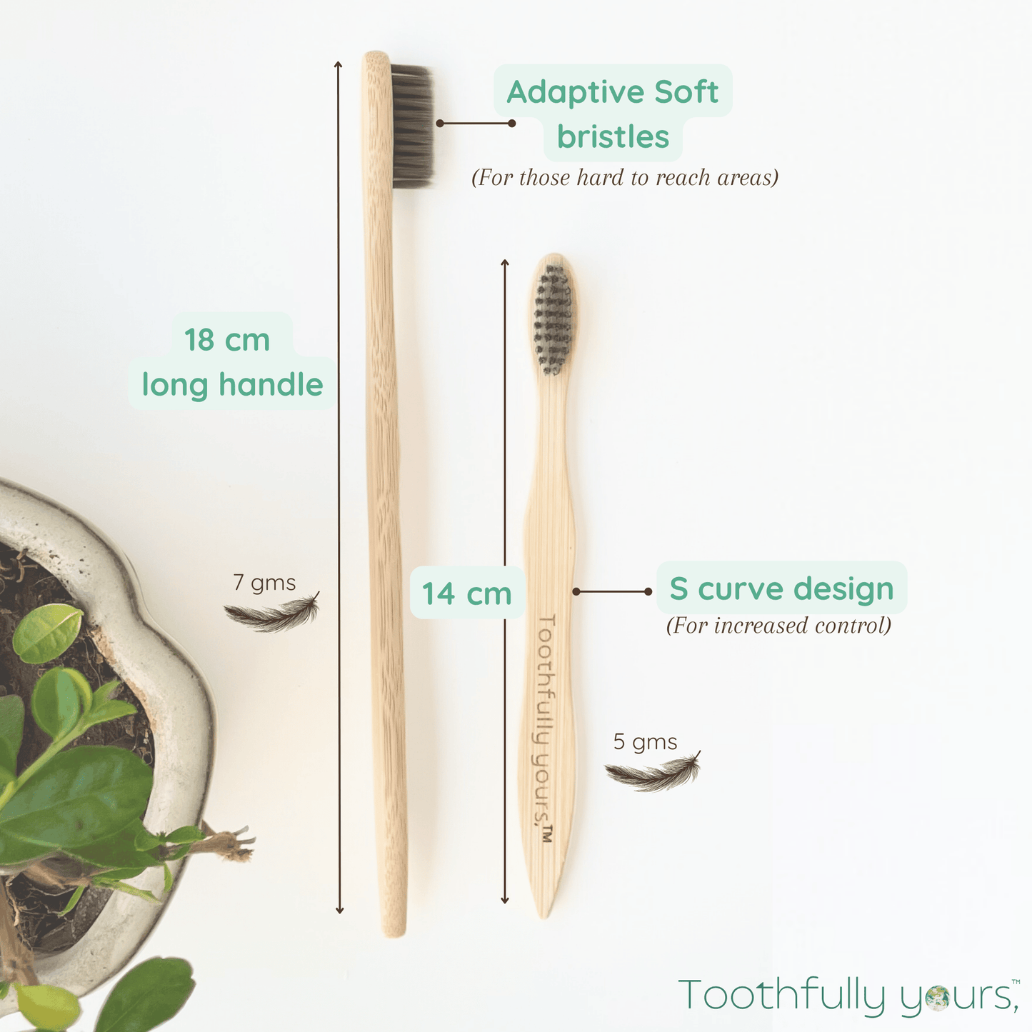 Bamboo Toothbrush - Family Pack (2 Adults 2 Kids)