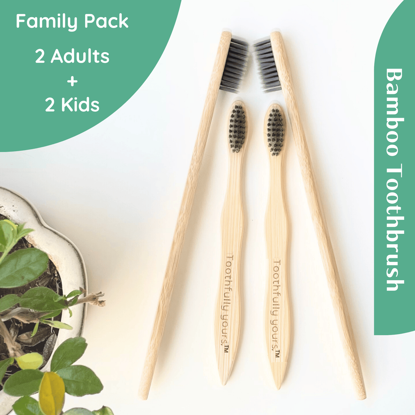 Bamboo Toothbrush - Family Pack (2 Adults 2 Kids)