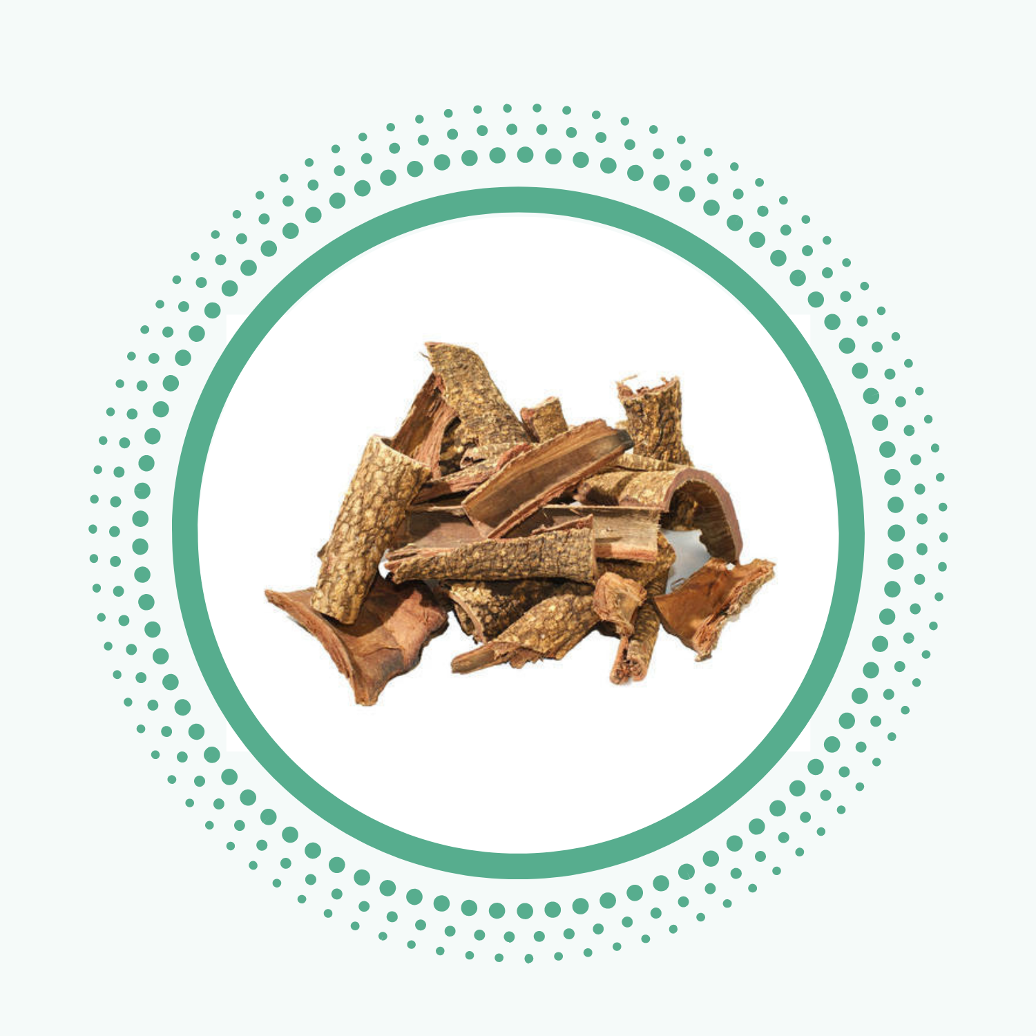 babool is toothfully yours natural ingredient from ayurveda