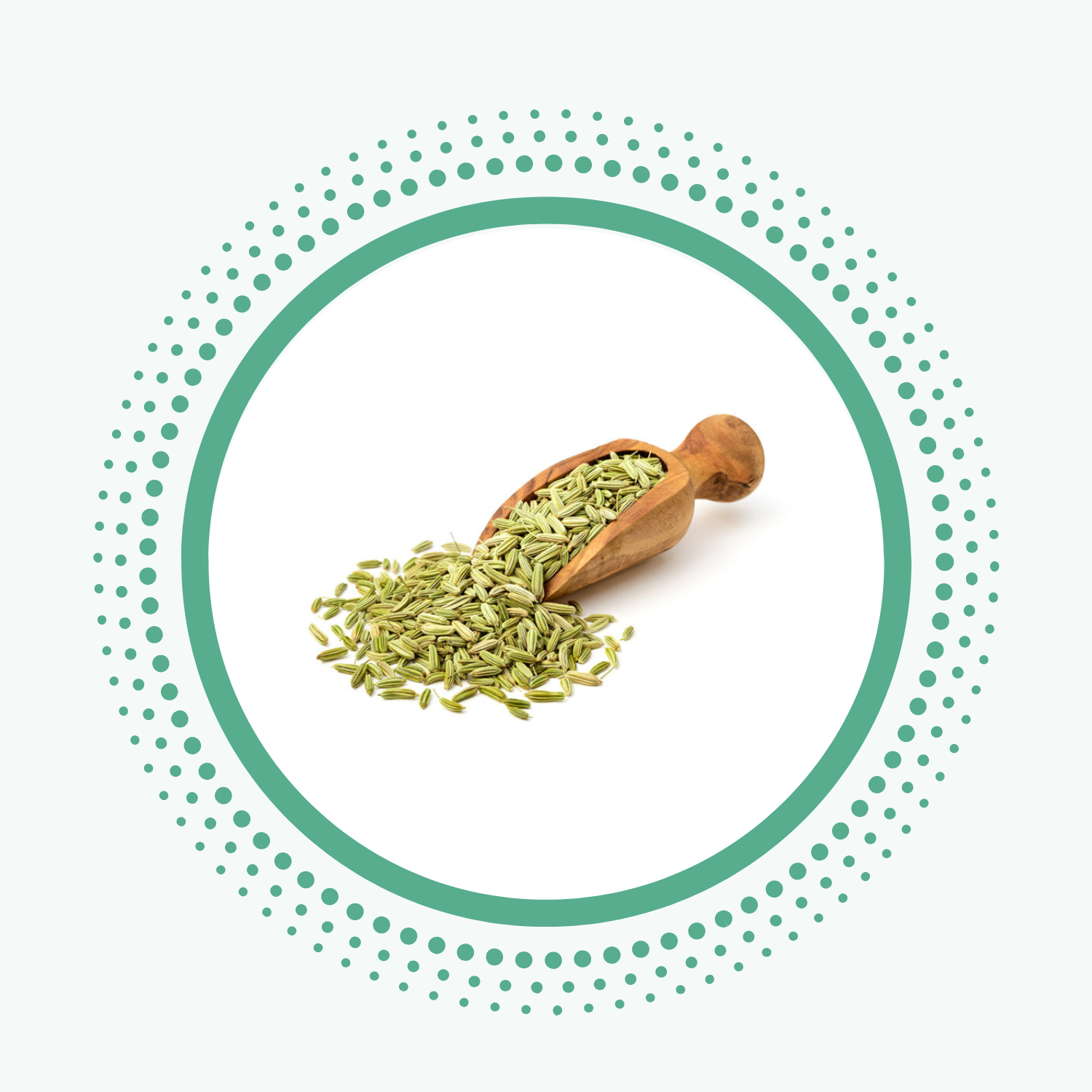 Fennel is toothfully yours natural ingredient from ayurveda