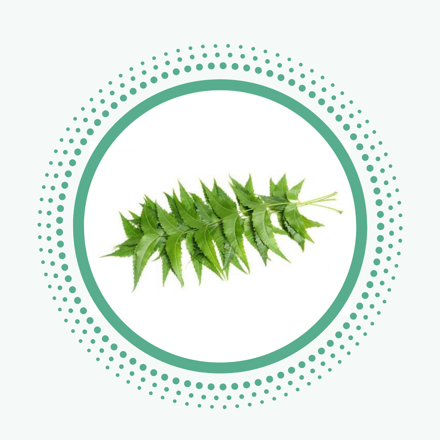 Toothpaste Ingredients – Toothfullyyours