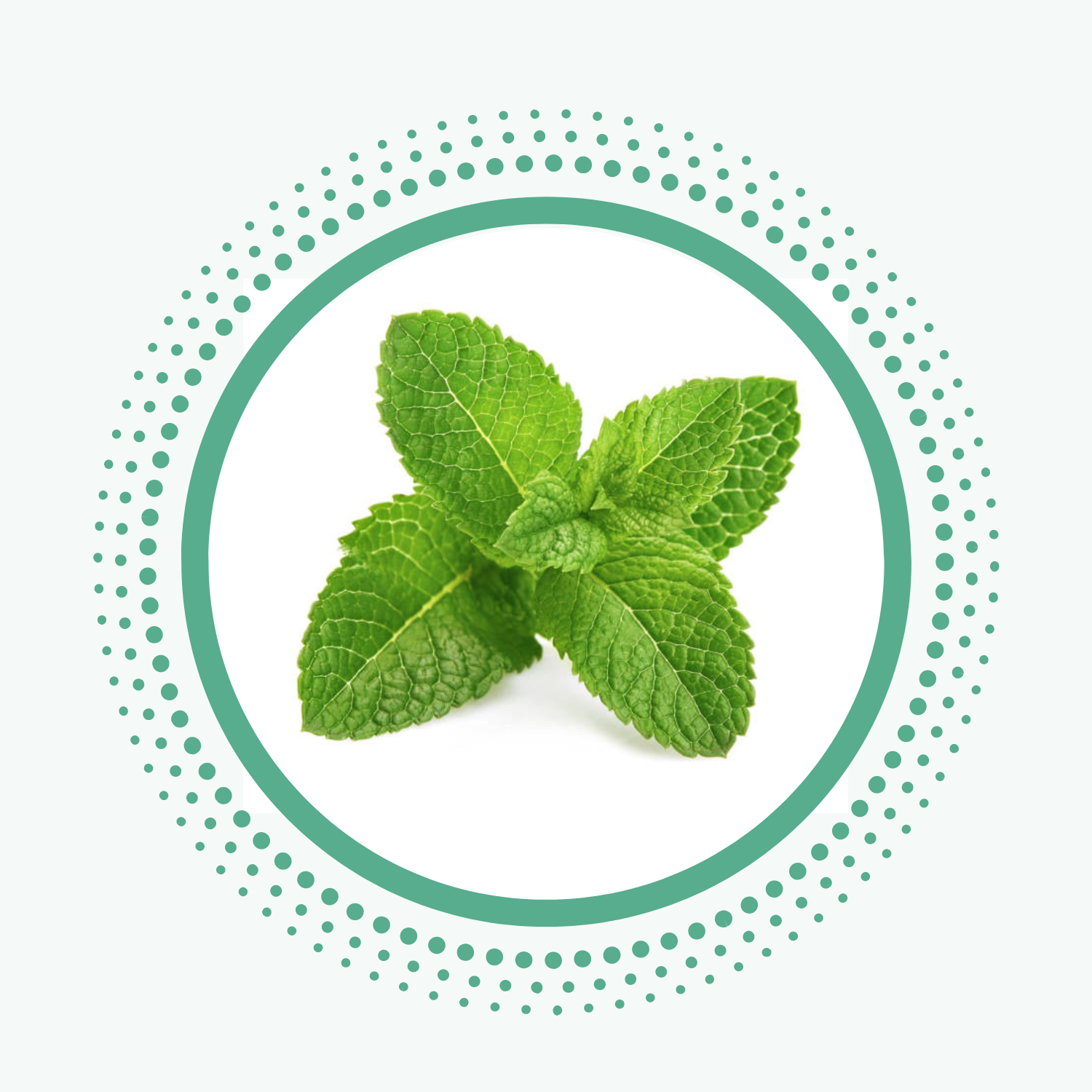 peppermint is toothfully yours natural ingredient from ayurveda