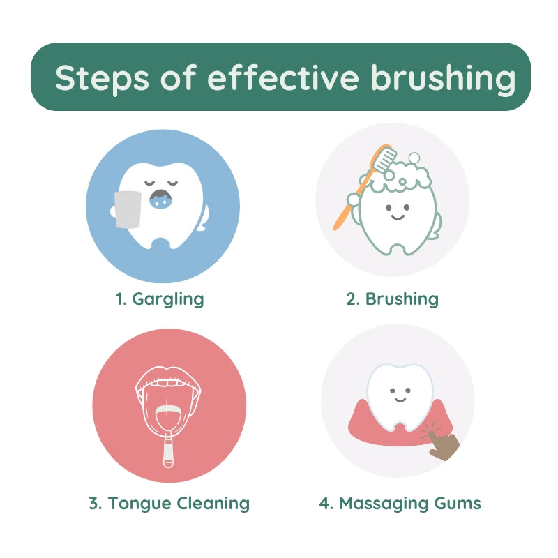 Steps Of Effective Brushing